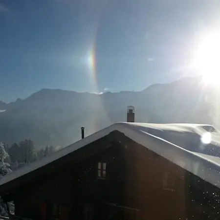 Jonathan Eg Sued By Interhome Apartmán