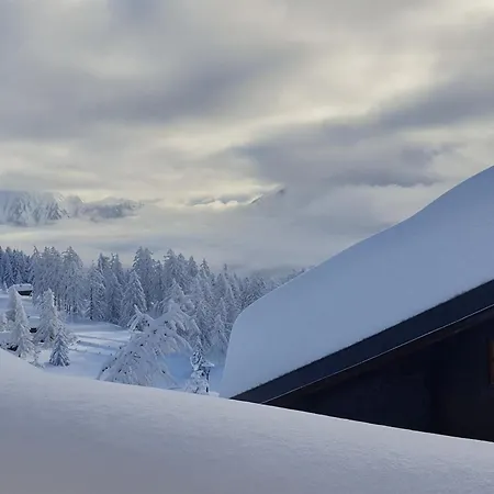 Διαμέρισμα Jonathan Eg Sued By Interhome *