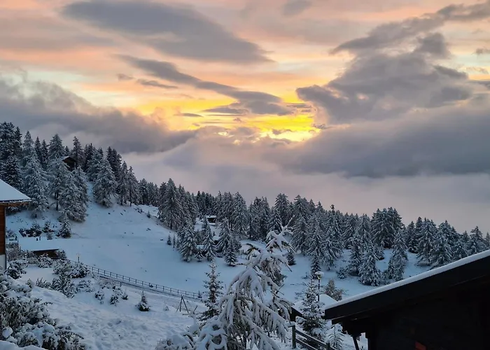 Jonathan Eg Sued By Interhome Riederalp