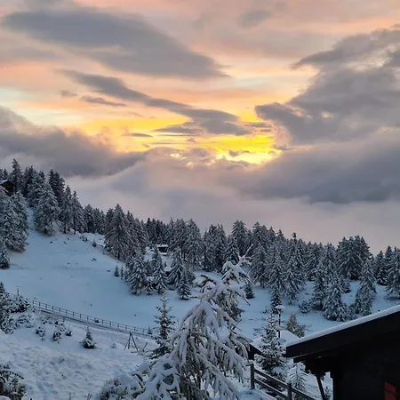 Jonathan Eg Sued By Interhome Riederalp